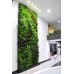 Air Purifier Green Wall (550 Rs -900 Rs) (Rates / Sqft) 